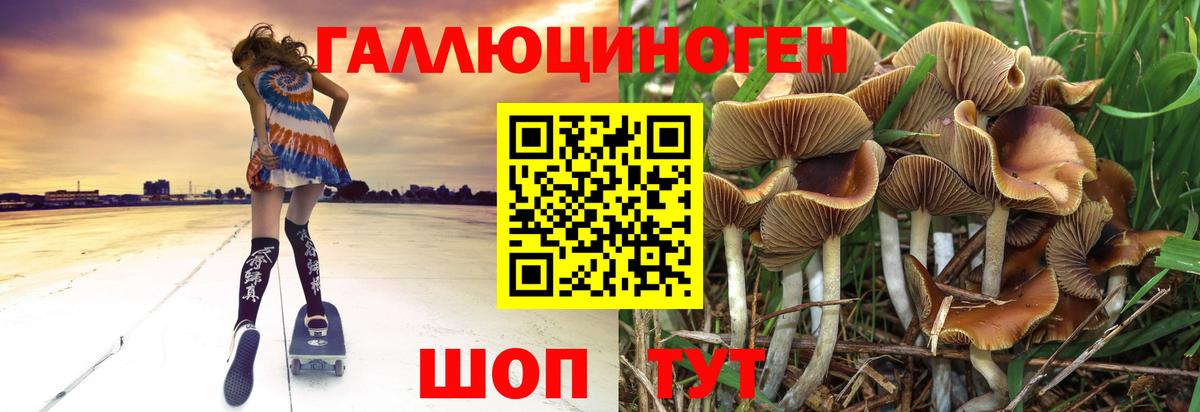 цены наркотик  Псилоцибиновые грибы прущие грибы  Вход с VPN  Шарыпово  Галлюциногенные грибы мухоморы 